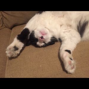 Meet your Posher, Wayne